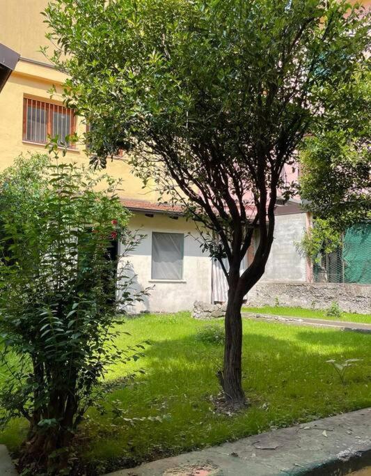 オメーニャIl Giardino Nascostoアパートメント エクステリア 写真